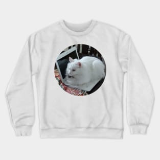 Cat Crewneck Sweatshirt